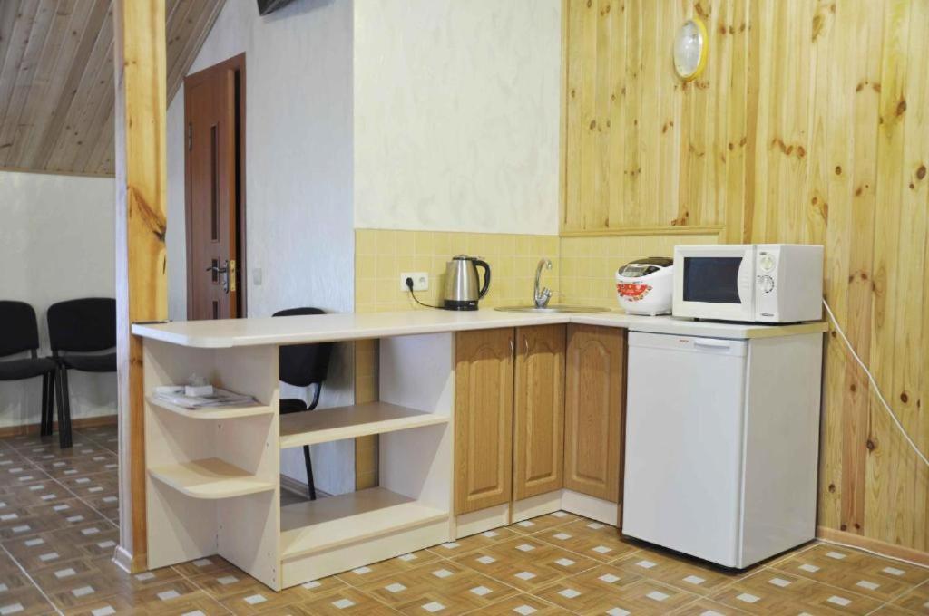 Mini-Hotel Yandrusi カームヤネツィ・ポジーリシクィイ エクステリア 写真